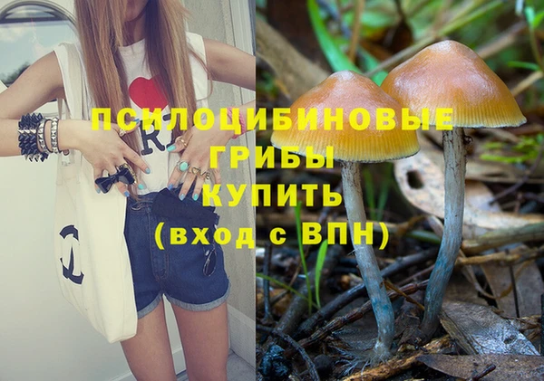 бутират Алексеевка