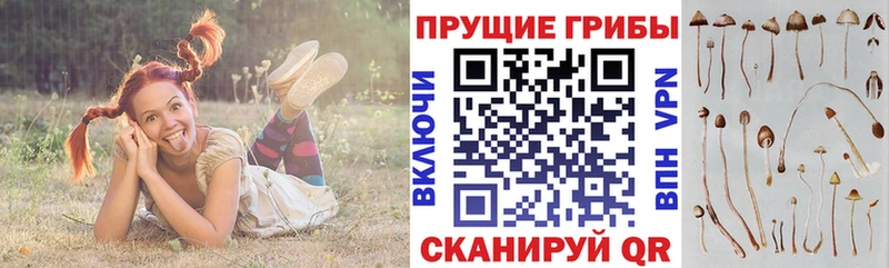 Псилоцибиновые грибы Magic Shrooms  Анива 